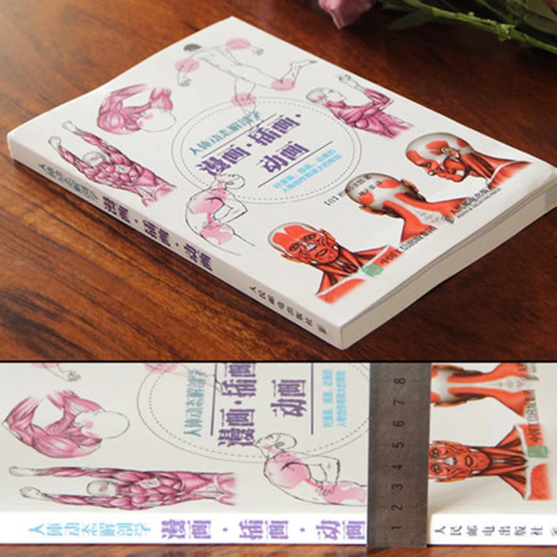 Human Anatomy Sketch Drawing Techniques Encyclopedia Anime Body Structure Teaching Painting Books Hand Book |