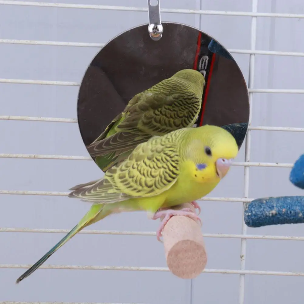 Аксессуары для клетки попугая птичье зеркало-игрушка качающаяся рама из