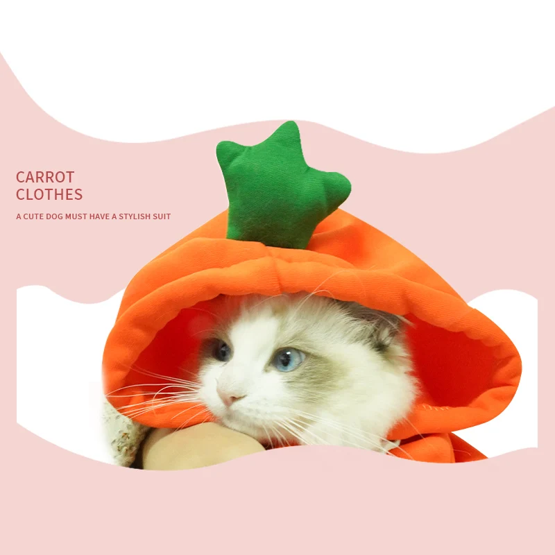 

Dog Clothes Autumn Winter Small Dog Teddy Cat Clothes