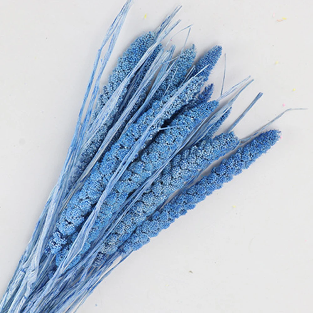 10 шт. Натуральные Сушеные свежие цветы в комплекте консервированный цветок из