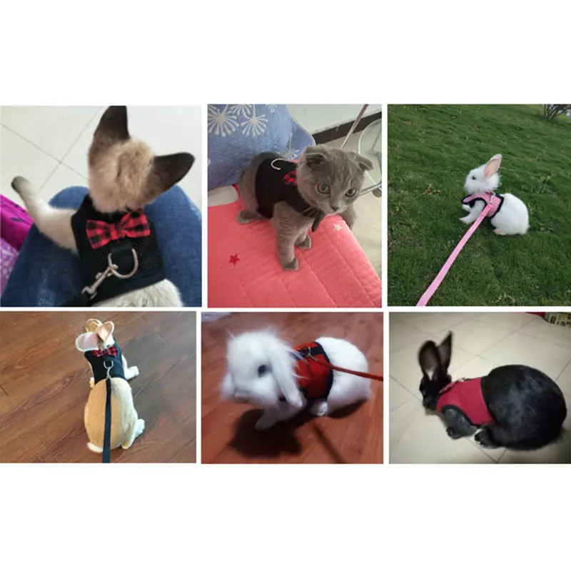 Сетчатый галстук-бабочка в виде маленького животного ремень для одежды со