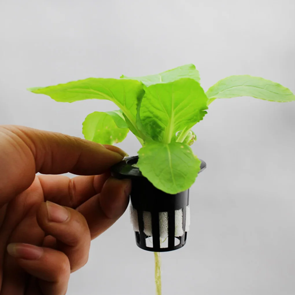 10 шт./компл. Сетчатый Контейнер для посадки цветов с гидропонной сеткой|Детские