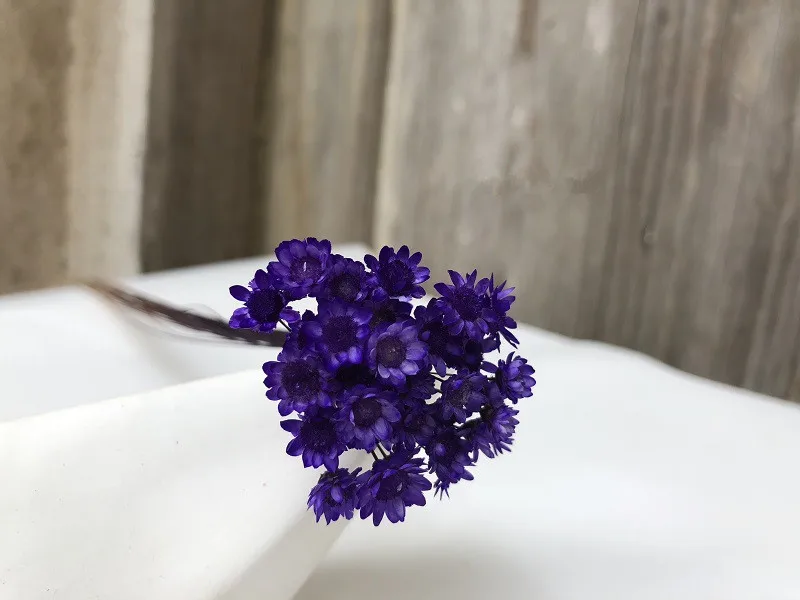 Purple 200 шт., Denisfen, милые мини-ромашки, декоративные сушеные цветы, маленькая звезда, цветок, натуральный цветок для свадьбы, украшения дома, Флорес - Цвет: Purple