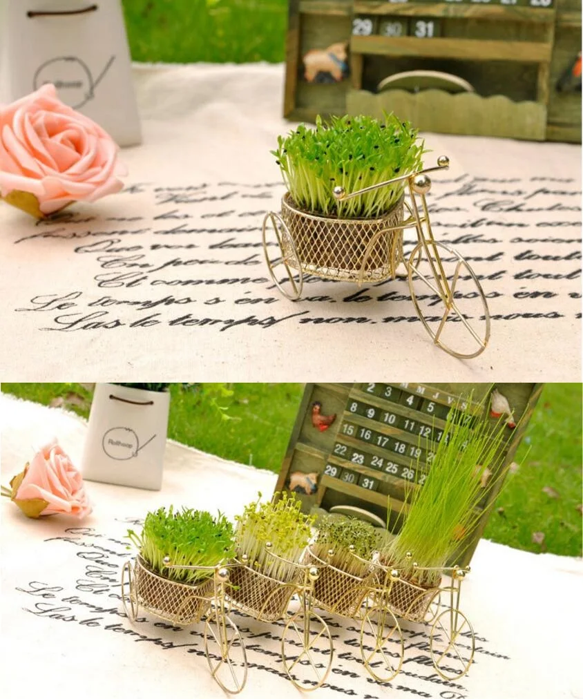 1 шт. Лидер продаж украшения дома мини велосипед цветочных горшков под заказ