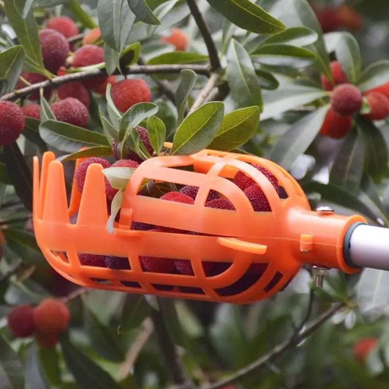 

Fruit Picker Tool Farm Fruit Cathcer Picking Picking Hardware Quicker Gardening Outside Plastic Garden