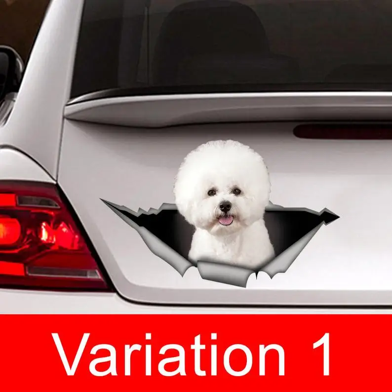 

Bichon frise car Decal, Bichon frise sticker ,pet Decal, dog decal, Car Decal, funny decal, Laptop Decal, 3D sticker