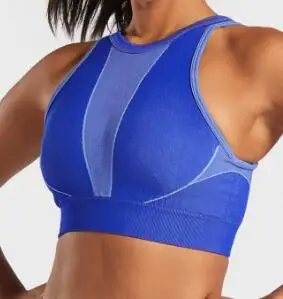 CB1064 blue bra Зима Осень Engery Ombre бесшовный комплект для йоги женский спортивный костюм Одежда для спортзала с длинным рукавом для фитнеса укороченный Топ Леггинсы спортивный костюм для йоги - Цвет: CB1064 blue bra