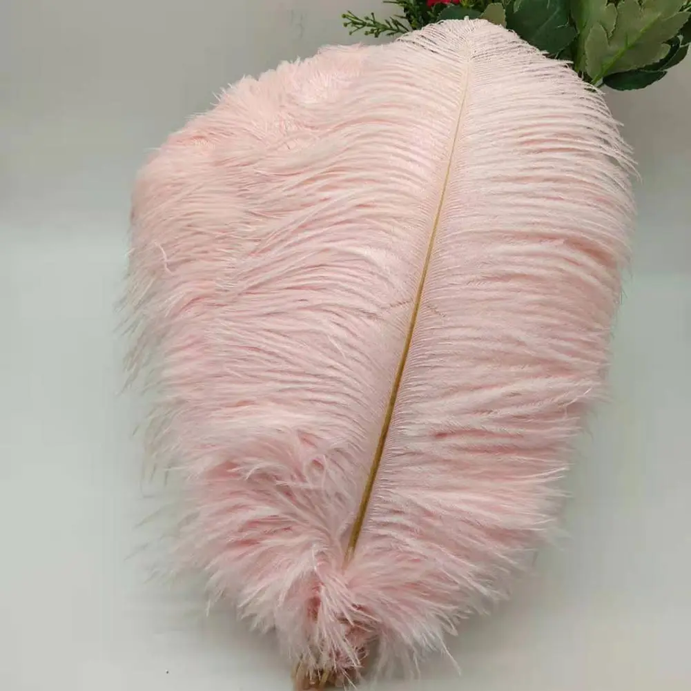 Wholesale 100Pcs/Lot Natural White Ostrich Feathers For Crafts 15-35CM Carnival Costumes Party Home Wedding Decorations Plumes images - 6