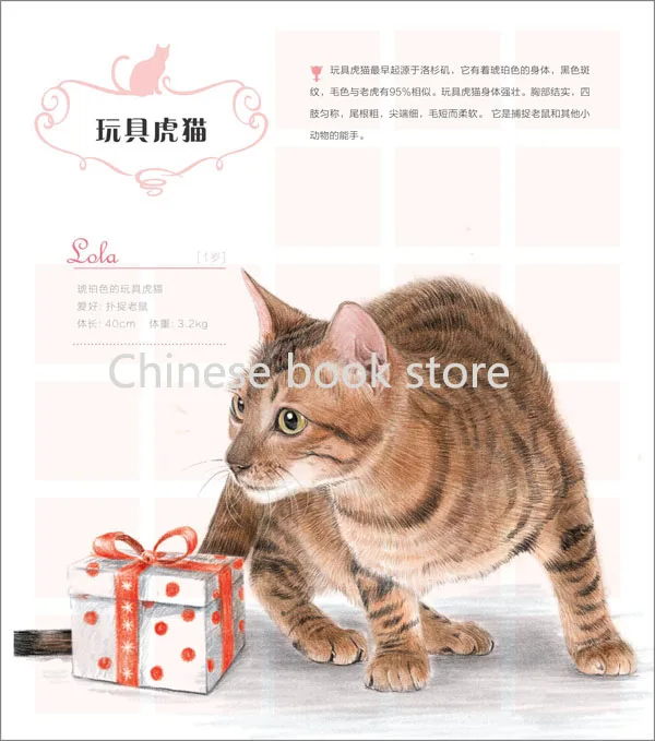 Китайский карандаш книга для рисования птица милая кошка учебник обучения