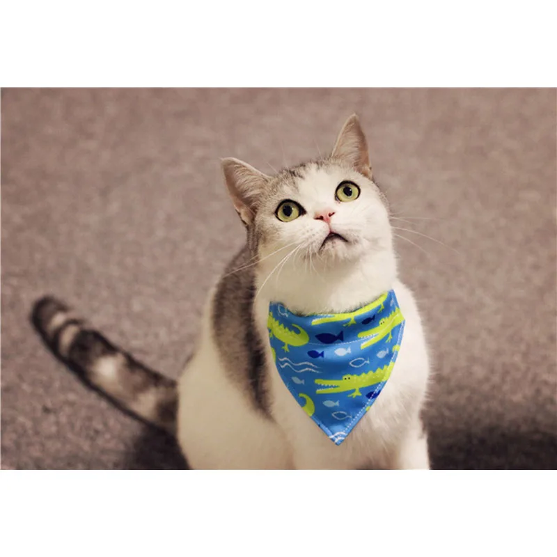 

Little blue crocodile! Cat and dog bow tie cartoon cute collar bow tie pet accessories