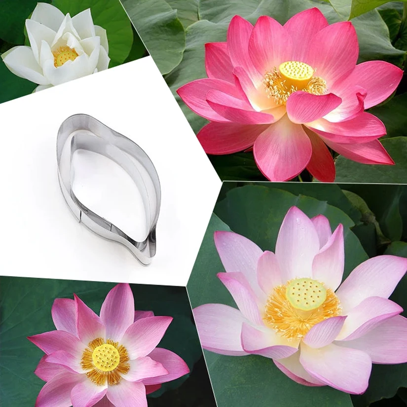 Ремешок для лотоса из нержавеющей стали 2 шт./компл.|Формы тортов| |