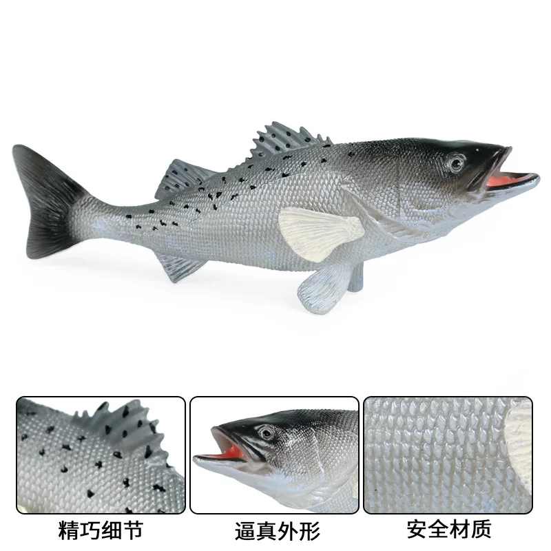 

18*4*5.5cm Children Cognitive Solid Simulation Marine Seven Star Perch Animal Model Toy New Large Perch For Children Gifts