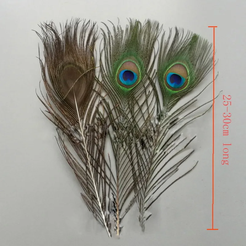 10 шт./компл. 26 30 см в длину красивые натуральные перья павлина украшение одежды
