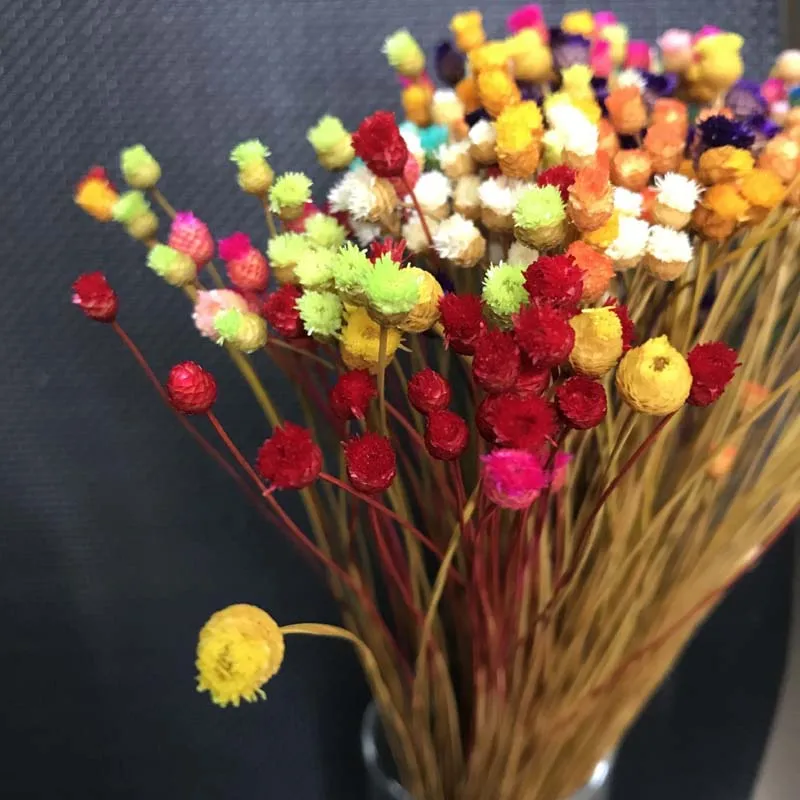 

300PCS/~ 0.3CM Head,Real Dried Natural Mini Happy Flower Branch,Miniature Dry Flowers Bouquet for DIY Resin Jewellery,Home Decor
