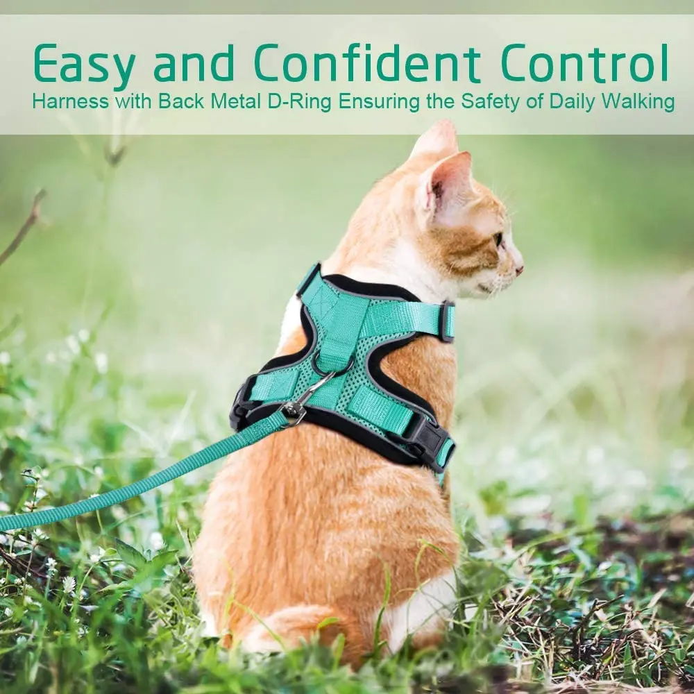 Шлейка и поводок для кошек набор прогулок маленькой собаки со светоотражающими