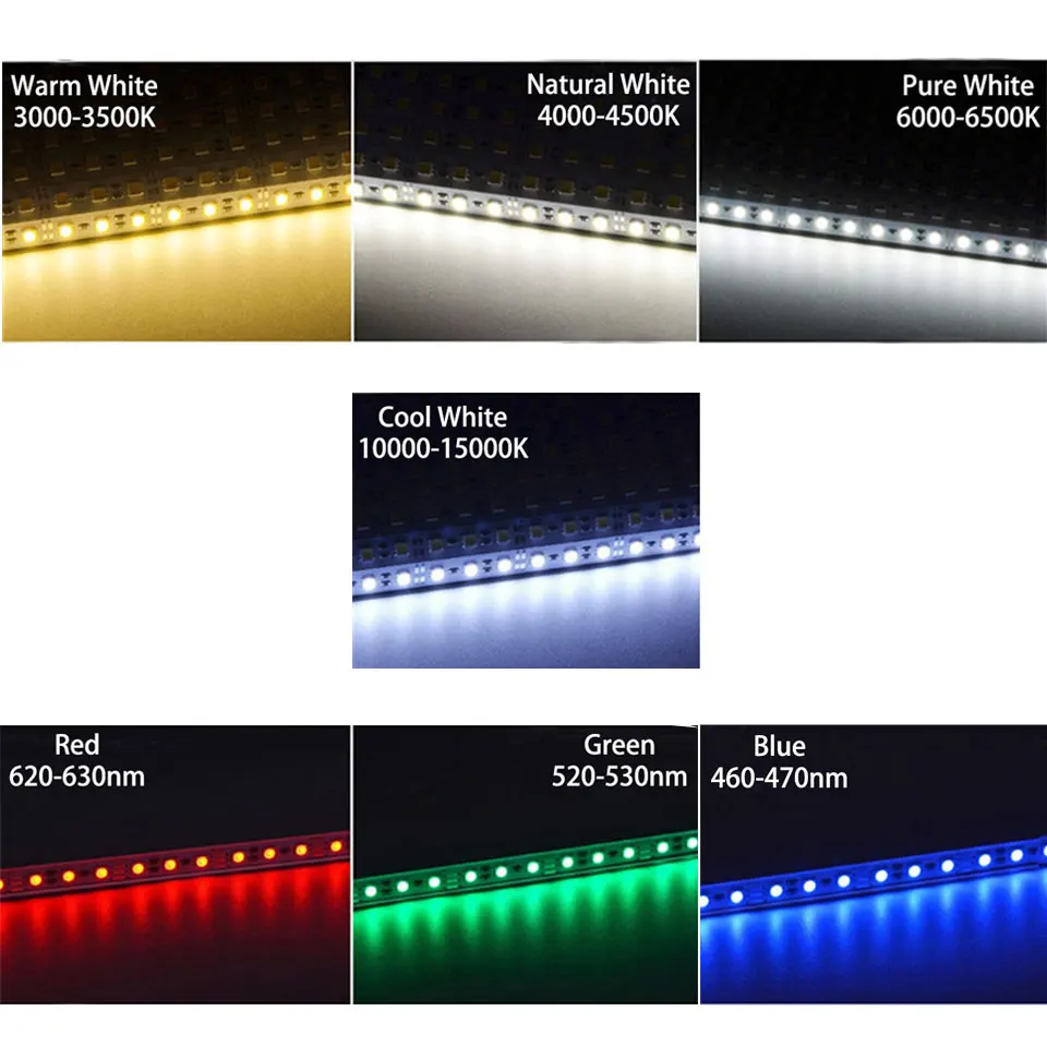 

10 . SMD 5050 50 DC12V