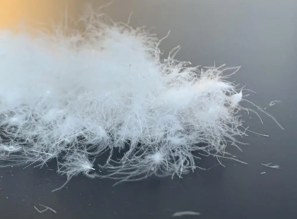 

Qooth Japan Down Coats Winter New Retro Cashew Flower Printed Down Jacket Loose Thinner Warm Casual Warm Jacket Women QT314