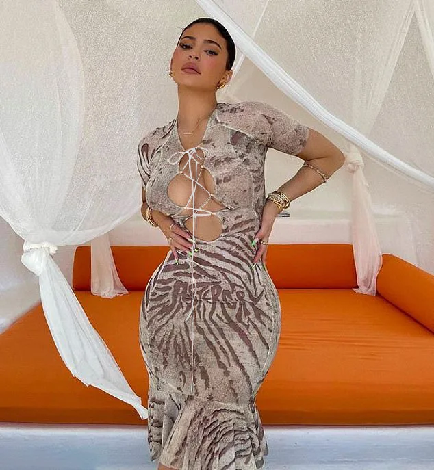 

Women Sexy & Club Mesh Printed Short Sleeve Bodycon Mermaid Party Dress