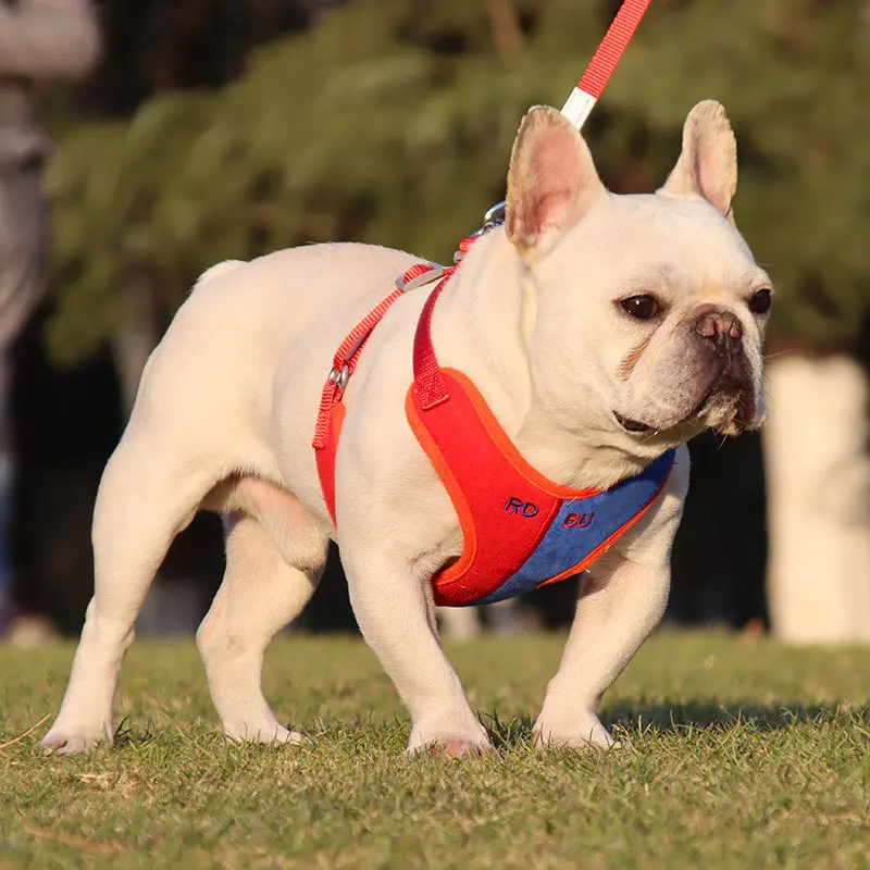 

Набор собачья шлейка с поводком лето двойной Цвет Pet Регулируемый жилет прогулки щенок упряжь для малых и средних собак