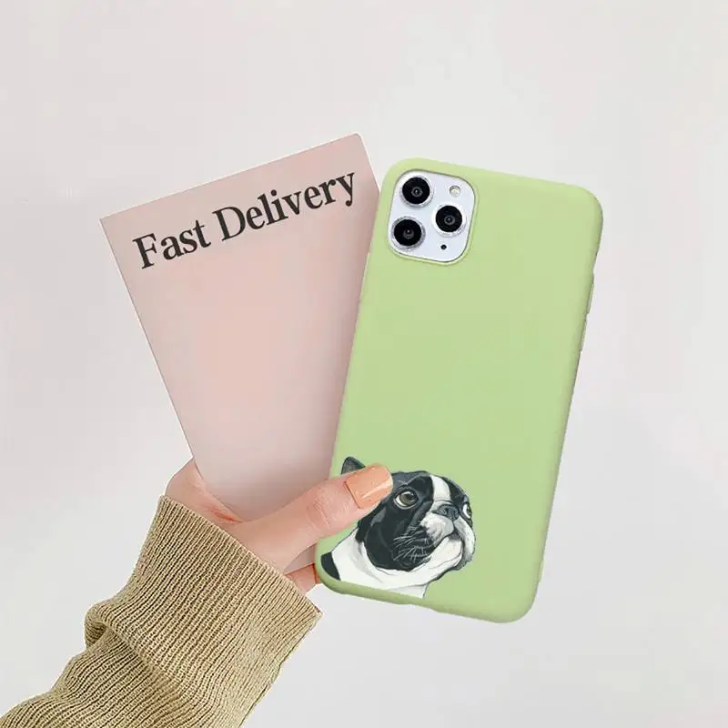 

Pug Bulldog Cute dog Phone Case Candy Color for iPhone 6 7 8 11 12 s mini pro X XS XR MAX Plus