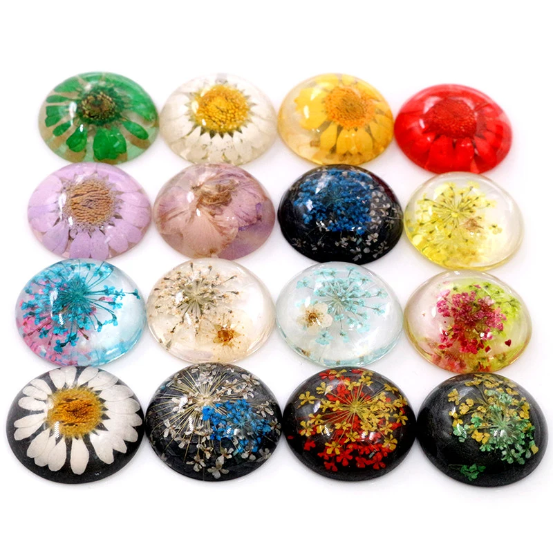 Новые Модные 5 шт 25 мм Разноцветные Натуральные сушеные цветы с плоской задней