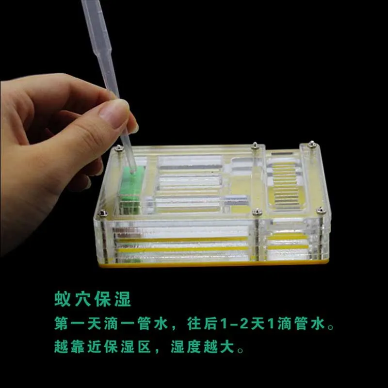 Модная акриловая муравьиная ферма коробка для разведения домашних животных