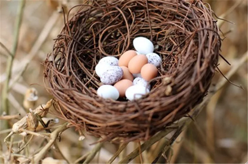 Hot Sale Simulation Animal Model Bird Nest Egg Figurine Bonsai Home Decor Miniature Fairy Garden Decoration Accessories Modern | Дом и сад
