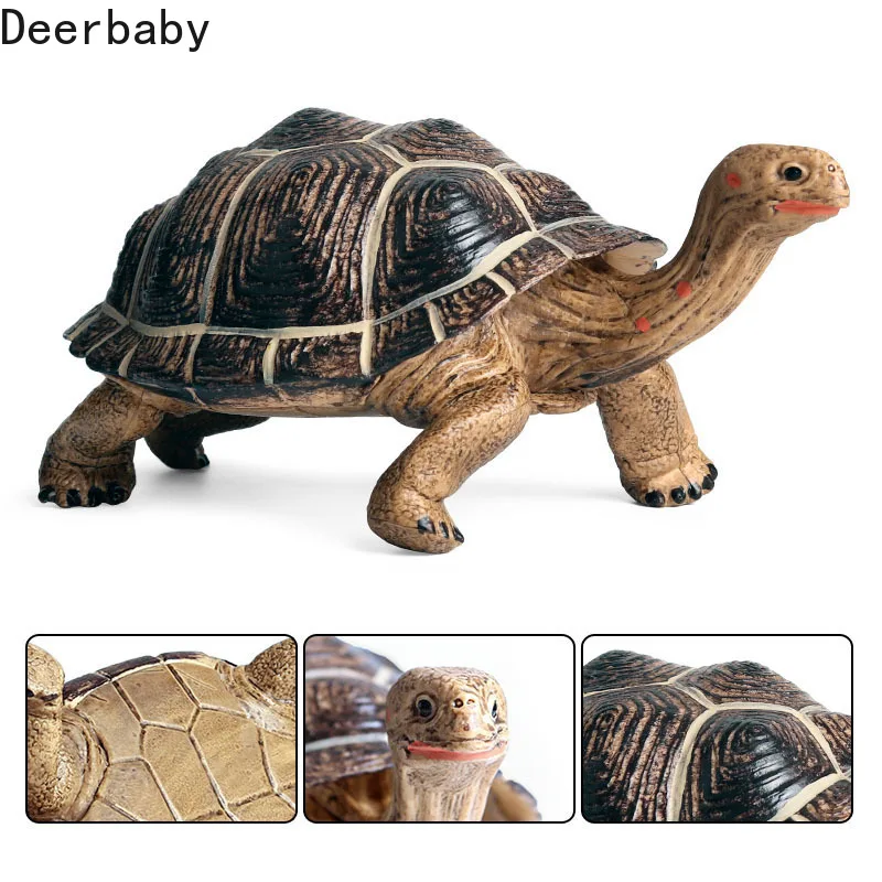 

Simulation animal model large elephant Tortoise Tortoise Tortoise children's cognitive seabed biological model toys plastic
