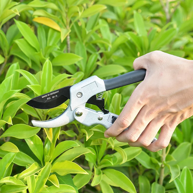 Ножницы для садовых работ садовые ножницы инструмент прививки фруктов дерева