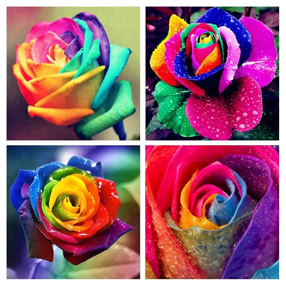 

5D DIY diamond painting 4pcs colorful rose cross stitch diamond embroidery mosaic full square round drill