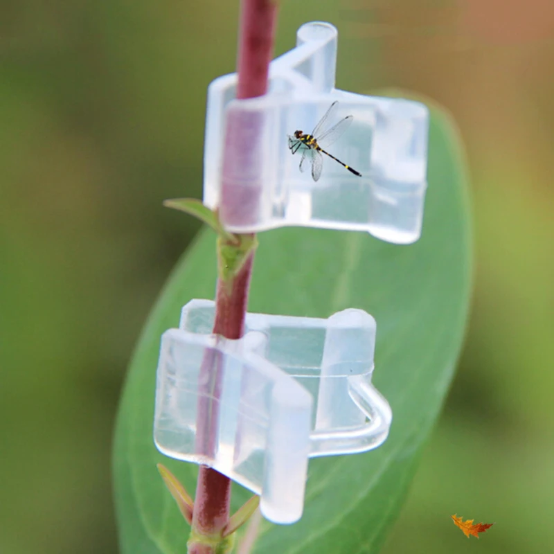 

50 Pcs Mini Transparent Flower Plants Grafting Clips Gardening Tools - UK Seller