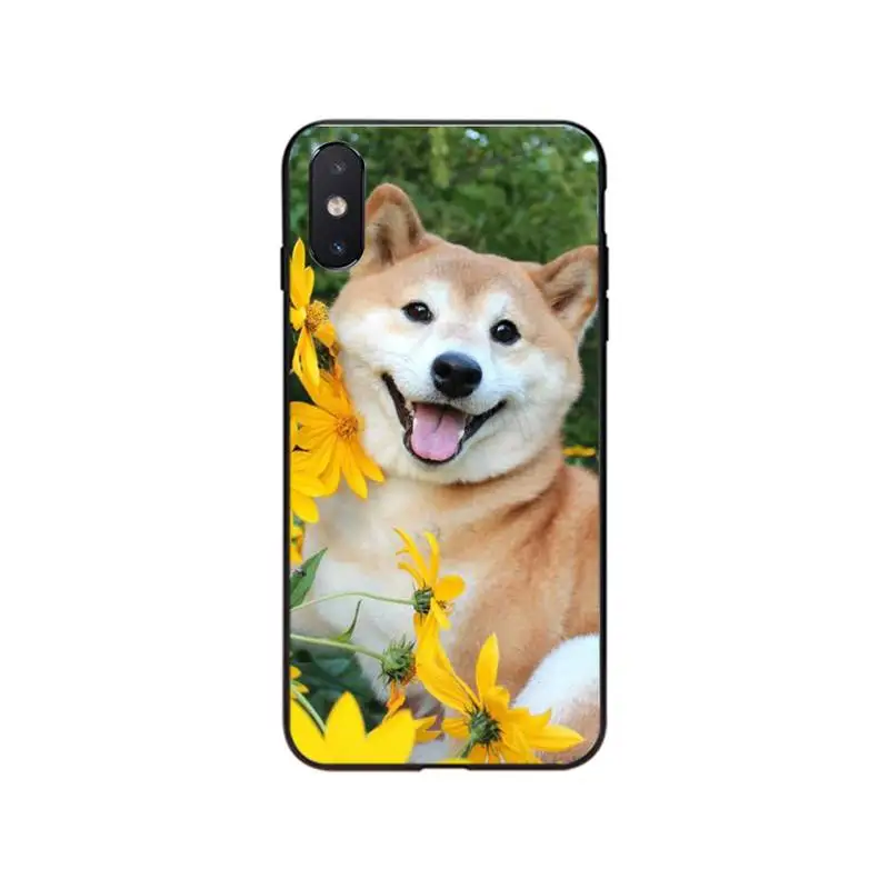 

Shiba Inu Phone Case For iPhone 12mini 12 11 ProMax XS MAX XR SE2 8 7 6 6S Plus X 5S SE