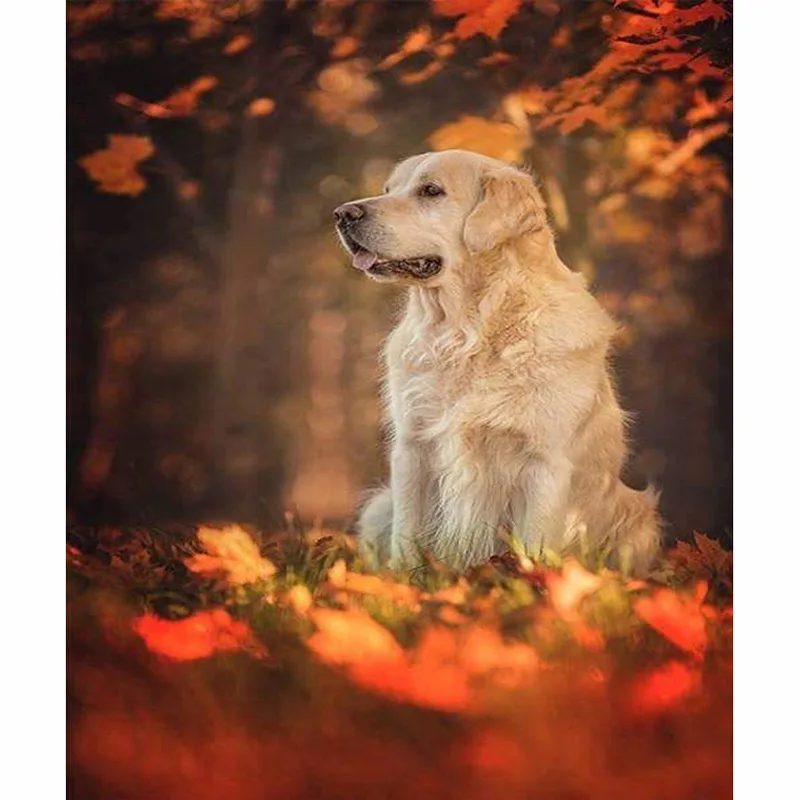 

Golden Retriever Diamond Painting Complete Kit Dog Adults Arts and Crafts Full Drills Mosaic Paint Handmade Diy Arts Home Decor