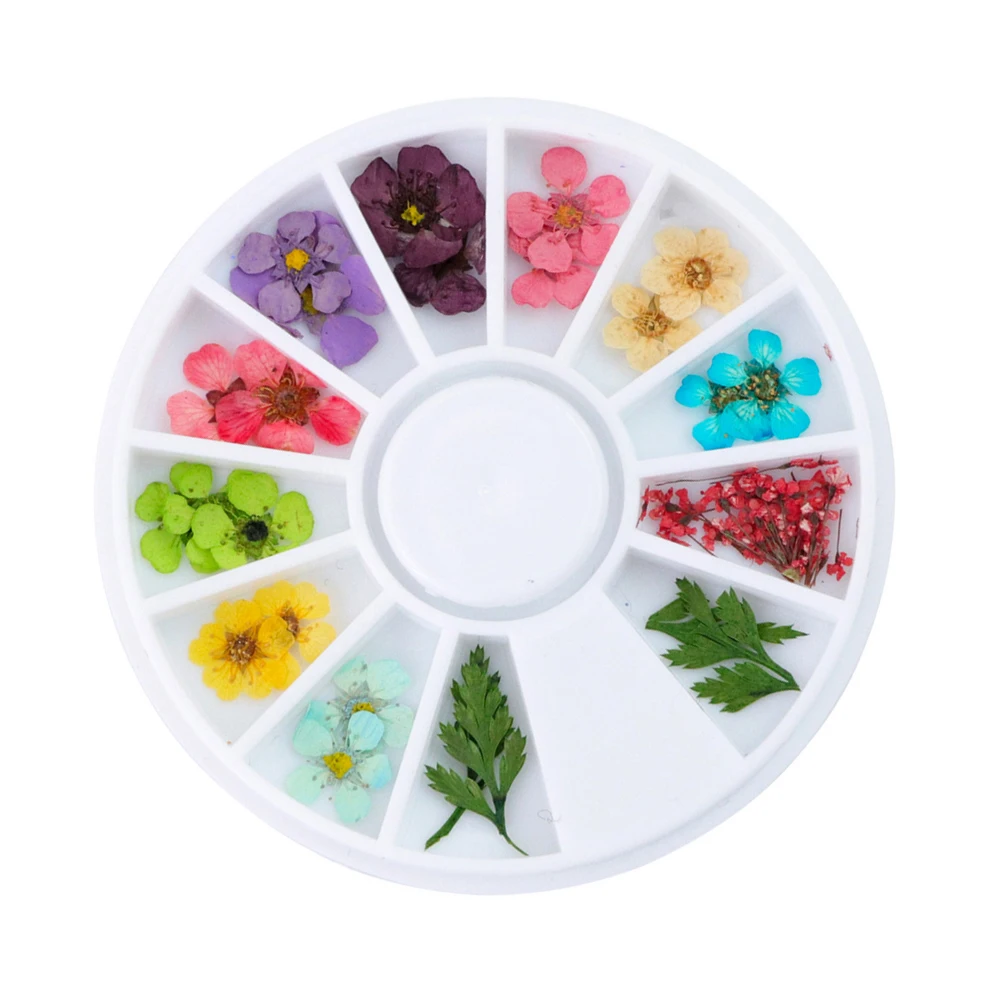 Многоцелевой Маникюр 12 цветов 3D настоящие сушеные цветы УФ гель акриловые