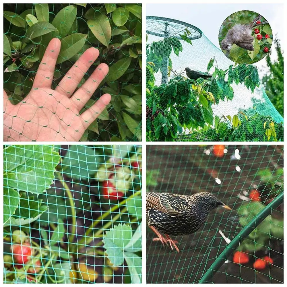

Garden Plants Climbing Net Plastic & Nylon Net Morning Glory Flower Netting Support Net Anti-bird net Garden Netting CD