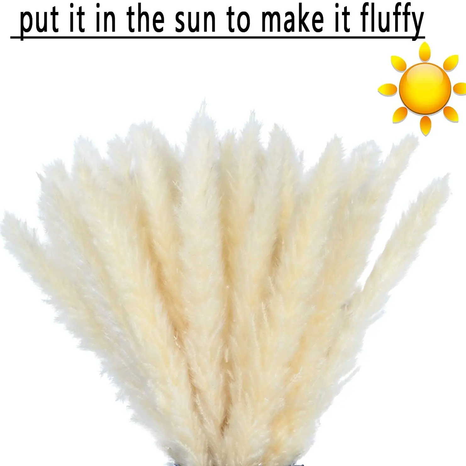 

30PCS Pampas Grass Plants Natural Communis Phragmites Bouquet Sechees Bulrush Arrangement Dekoration Reeds Flower Decoration