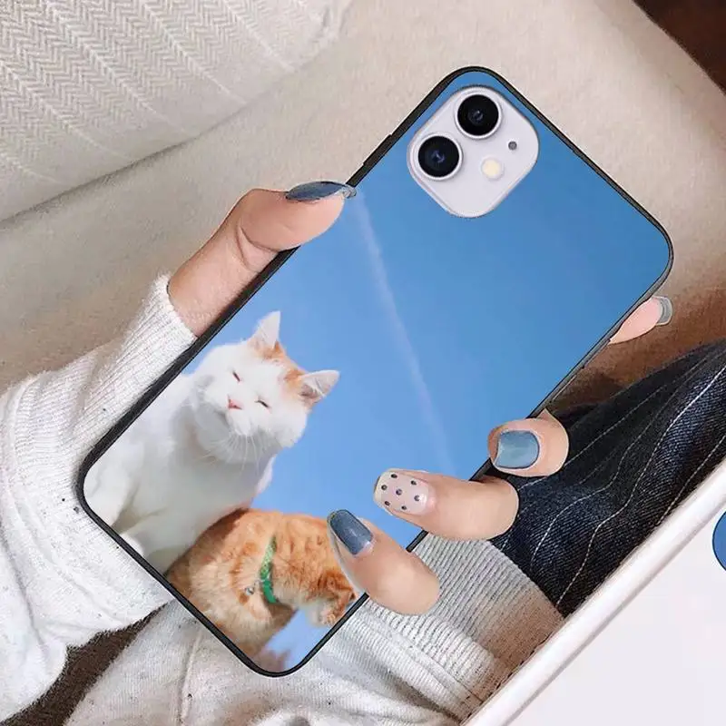 

Sleepy Cat Phone Case For iphone 12 pro max case 11 Pro MAX X XR XS SE 2020 6S 7 8 Plus