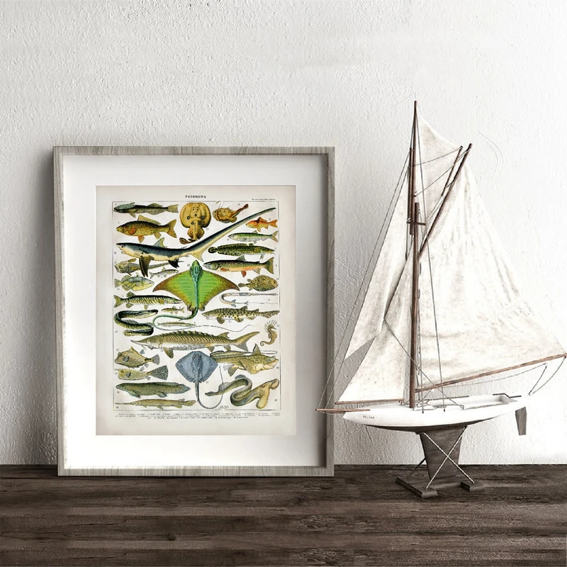 Ocean Animal Fish Canvas Poster Saltwater Prints Seahorse Shark Stingray Lamprey Eel Nature Lover Gift Beach Decor Painting | Дом и сад