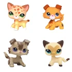 Lps оригинальная кошка из коллекции pet shop, игрушки, Красная Блестящая короткая шерстяная кошка 2291 852 с голубыми глазами, маленькая коричневая собака, колли, бесплатная доставка