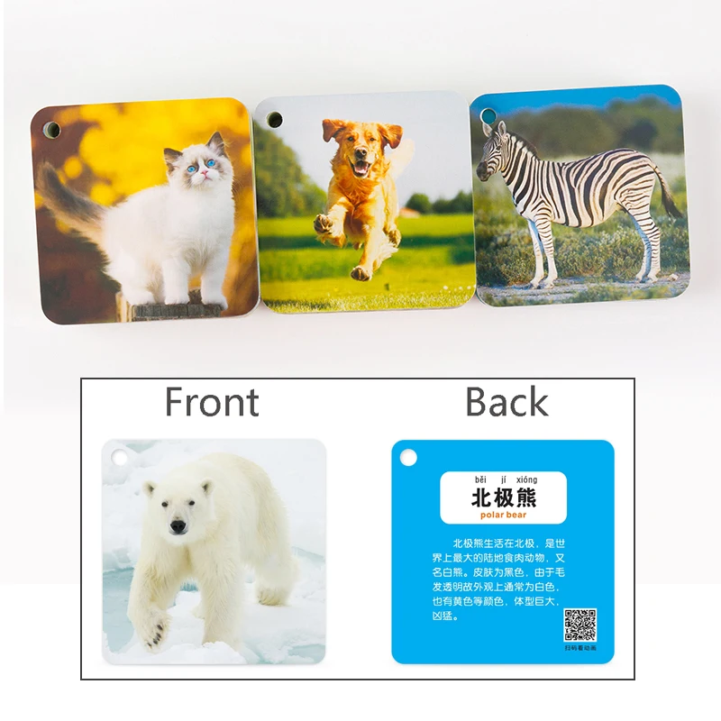 108 шт. Детские флеш-карты с животными | Игрушки и хобби