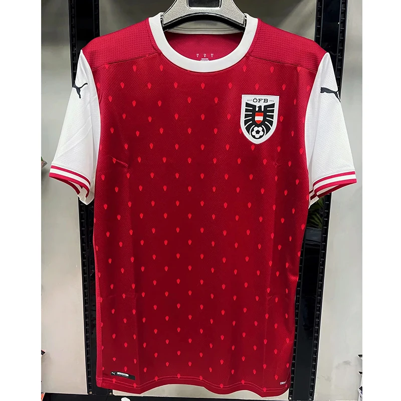 

2022 Austria Men's Red Crew Neck Football Jersey Soccer T-shirt