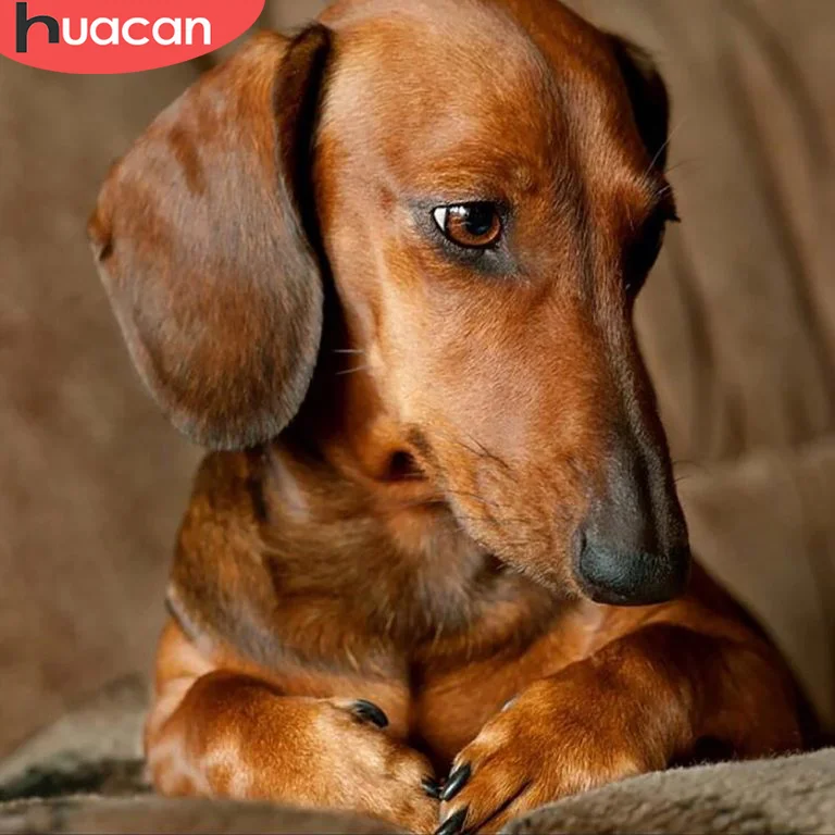 

HUACAN Full Square Round DIY Diamond Painting Dog Rhinestone Picture Cross Stitch Diamond Embroidery Animal Home Decoration