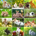 GATYZTORY рамка сделай сам для взрослых детей милый кролик животные ручная роспись масляная краска по номерам домашний декор