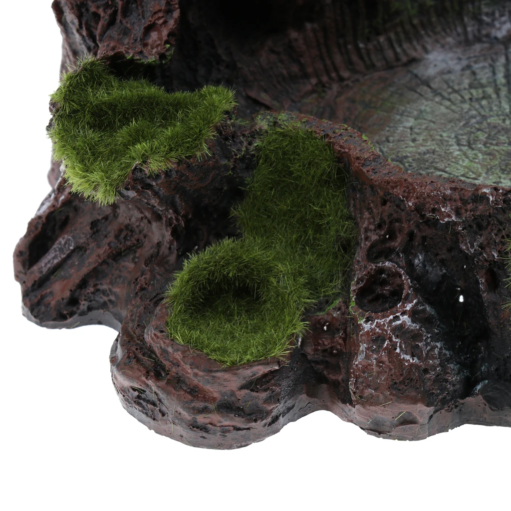 Смолы амфибии рептилия кормления рок чаша воды питьевой блюдо ПЭТ Черепаха