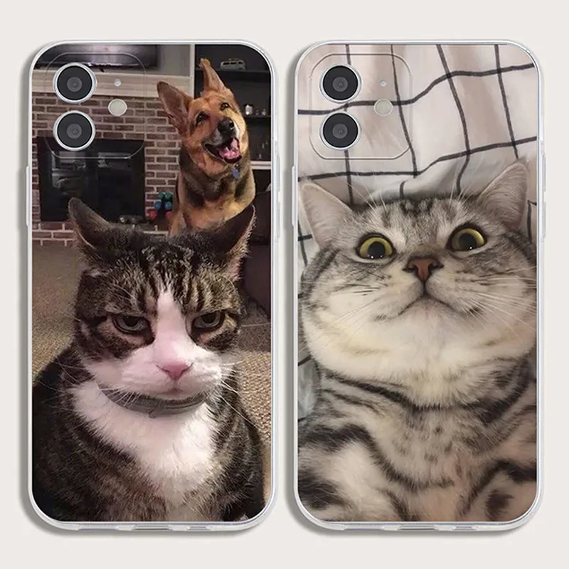 

Painted apple cat phone case is suitable for transparent TPU soft case of iphone6/7/8/XS/11/12 iphone 11 pro max case