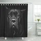 Крупный план портрет красивой черной Кане Корсо Женская собака душ занавеска полиэстер 60x72 дюймов комплект с крючками