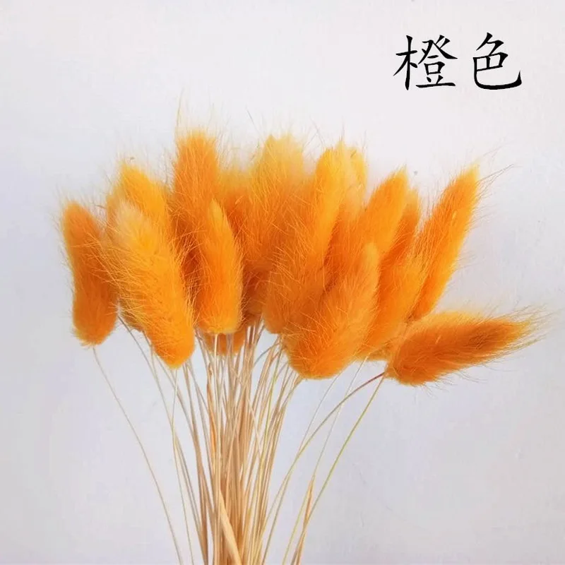 60 шт. кролик трава памп засушенные цветы Кролик хвост натуральные растения