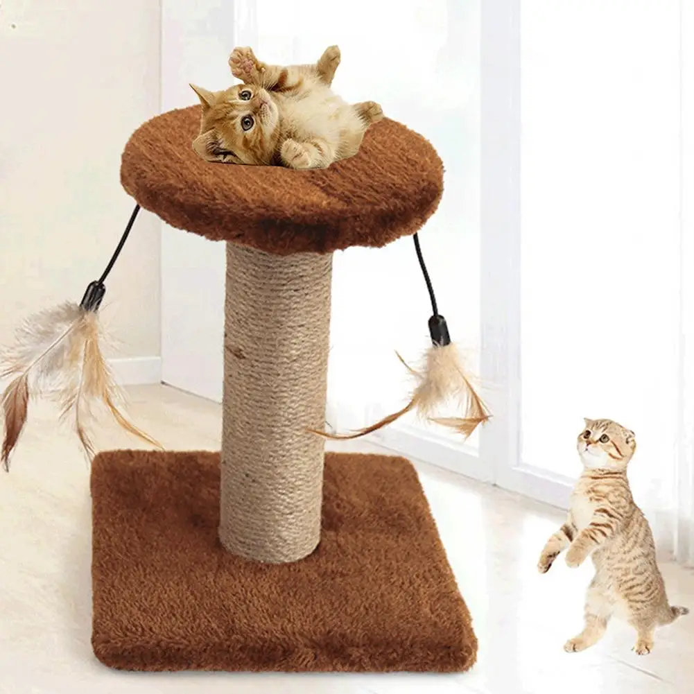 Кошка Котенок Перо скалолазание рамка дерево когтеточка молярный укус