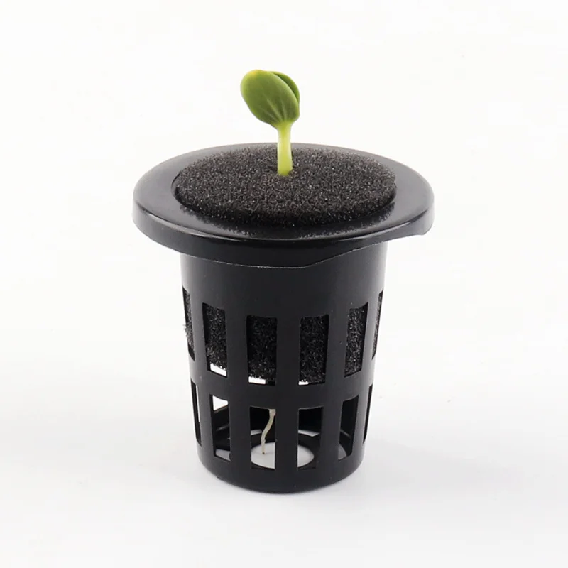 100 шт. черная губка для корыта Гидропоника блок клонирования воротник Aquaponics сетчатый горшок губка анти-альга 4 размера