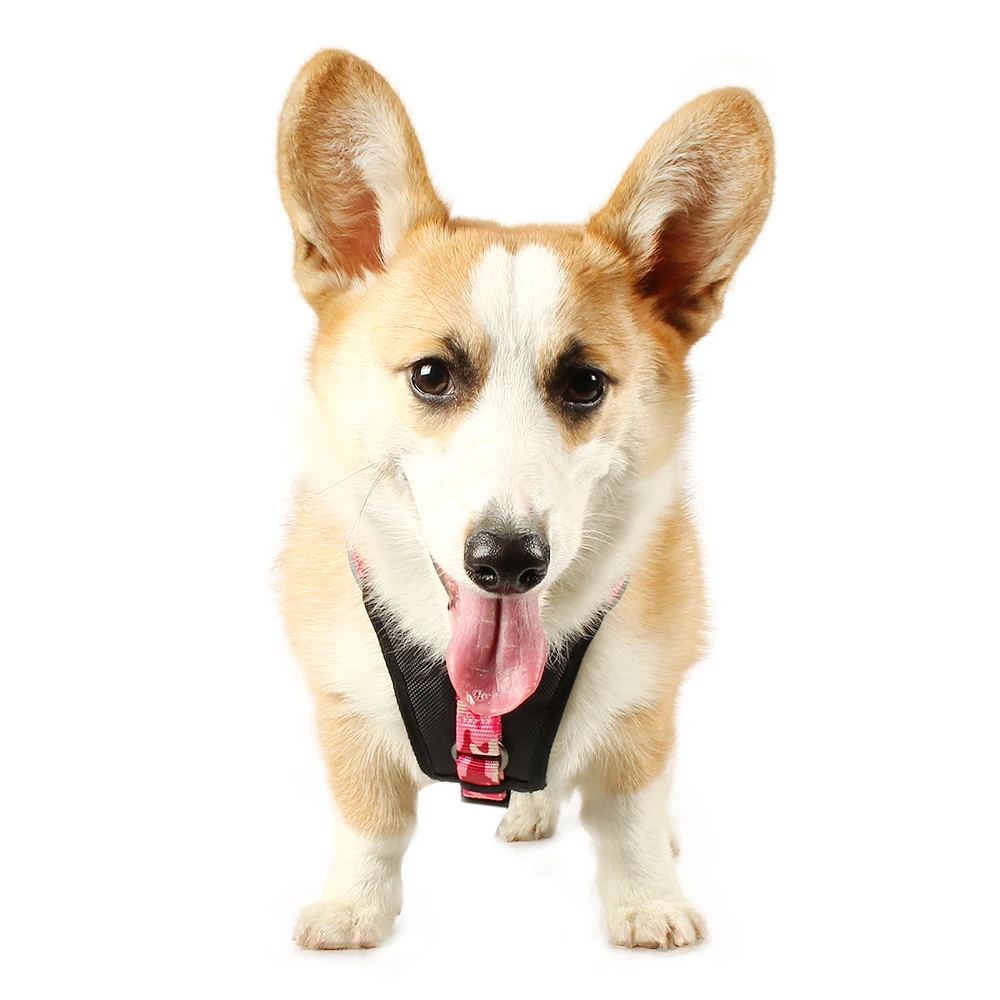 

Nylon Dog Harness Camo Color Design No Pull Snap Buckle For Quick Release Adjustable Walking Harness For Small Medium Pet Dogs